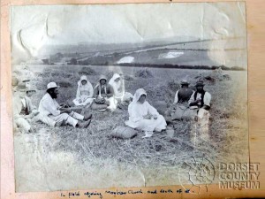 Harvest at Winterborne Monkton - © Dorset County Museum