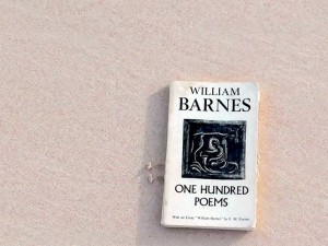 William Barnes One Hundred Poems on a Bermuda beach - Image Credit: Jim Potts © 2017